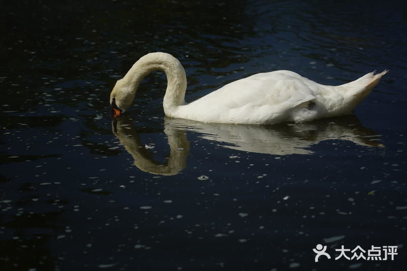 “飘着仙气儿”的艺术馆