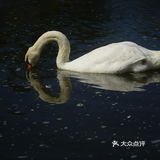 “飘着仙气儿”的艺术馆