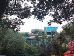 -苏州乐园森林水世界