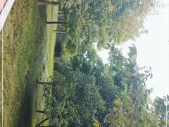 -贵阳市花溪国家城市湿地公园