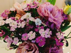 -Jo's Garden