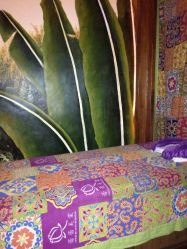 -蕾蕾美颜美容美体