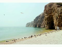 -海驴岛(荣成市)