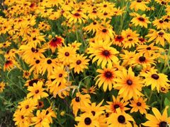 -黄河三峡风景名胜区