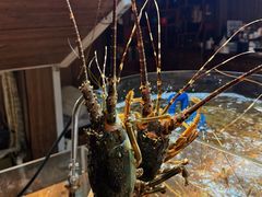 -黑木原精致料理·铁板烧