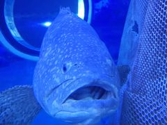 -多彩贵州城极地海洋世界