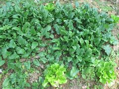 -龙潭生态旅游度假区