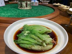 -蒙古大营(朝阳公园店)