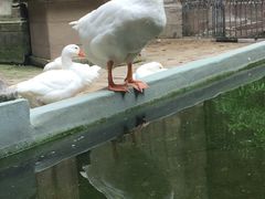 -巴塞罗那主教座堂