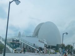 -野狸岛