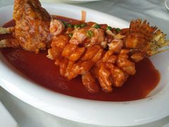 -云中小雅
