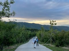 -北京西山国家森林公园