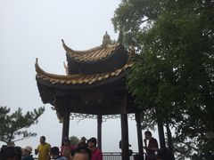 -天目山大树王景区