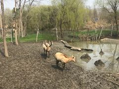 -溱湖国家湿地公园