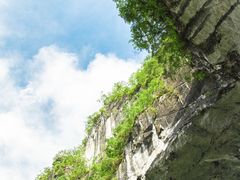-百色大石围天坑群