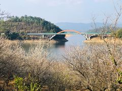 -广州市流溪河国家森林公园