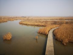 -盐城丹顶鹤湿地生态旅游区