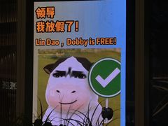 -国芳中心