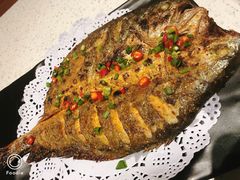 -九府羊·鲜羊火锅·烤串(新华路店)