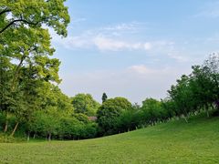 -南山植物园