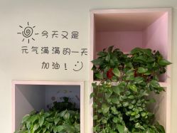 -初心HAlRSALON烫染接发