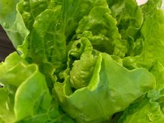 -东椰·海南椰子鸡火锅(朝阳门店)