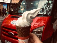 -富豪雪糕车流动点(尖沙咀店)