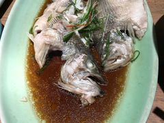 -新白鹿餐厅(城西银泰城店)