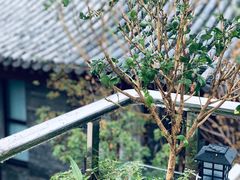 -糖房咖啡(南锣鼓巷店)
