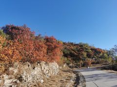 -北京西山国家森林公园