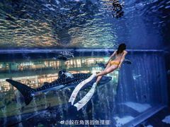 -成都浩海立方海洋公园