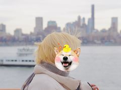 -史泰登岛渡轮