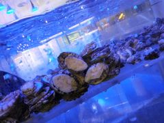 -小天鹅戴斯酒店鲸鲨百汇创作料理
