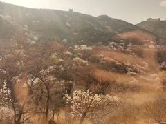 -忆乡情铁锅炖鱼饭店(延庆店)