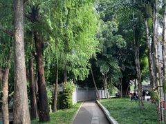 -荔湾湖公园