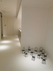 -紫御国际抗衰ZOE ANTI AGING