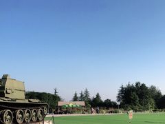 -铁山坪森林公园