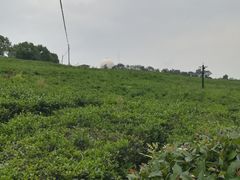 -南京市江宁方山