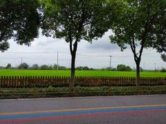 -莲花岛景区