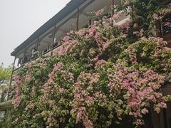 -安仁古镇
