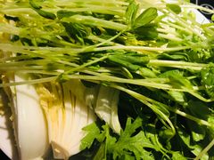 -温野菜涮涮锅(西单大悦城店)