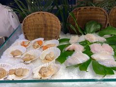 -裕龙汤泉