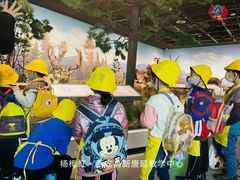 -杨梅红艺术教育(西安高新唐延教学中心)