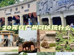 -广州动物园