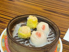 -憶廟街 X 沙角邨(太古城店)