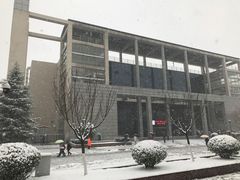 -西安外国语大学-学生食堂(栾树大道店)