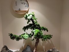 -璞禅足道(观音桥旗舰店)