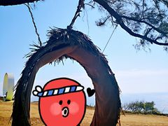 -漳州滨海火山岛自然生态风景区