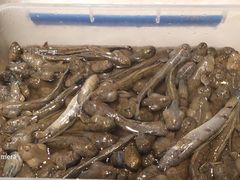 -健眺小海鲜(临海后山店)