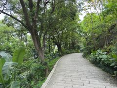 -乌山风景区